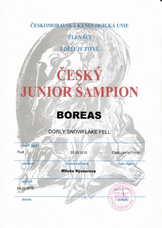 ČESKÝ JUNIOR ŠAMPION