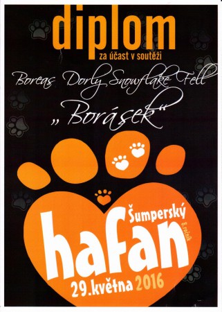 Šumperský hafan 2016 za prezentaci plemene PUDL