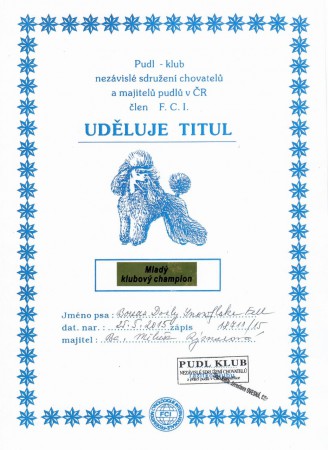 Mladý klubový champion Pudl Klub