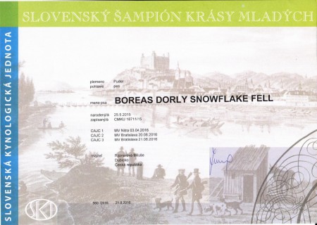 Slovenský šampión krásy mladých