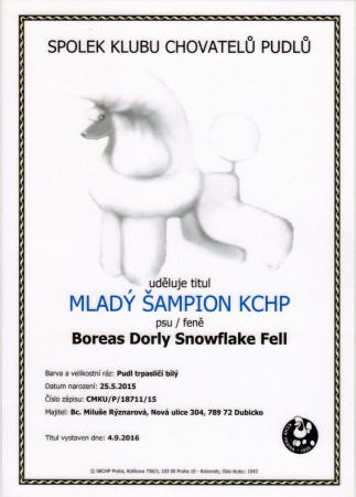 Mladý šampion KCHP