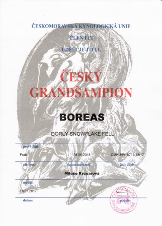 Český GRANDŠAMPION