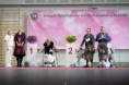 /album/svp-zkwp-bytom-2026/0o9a0121-jpg/